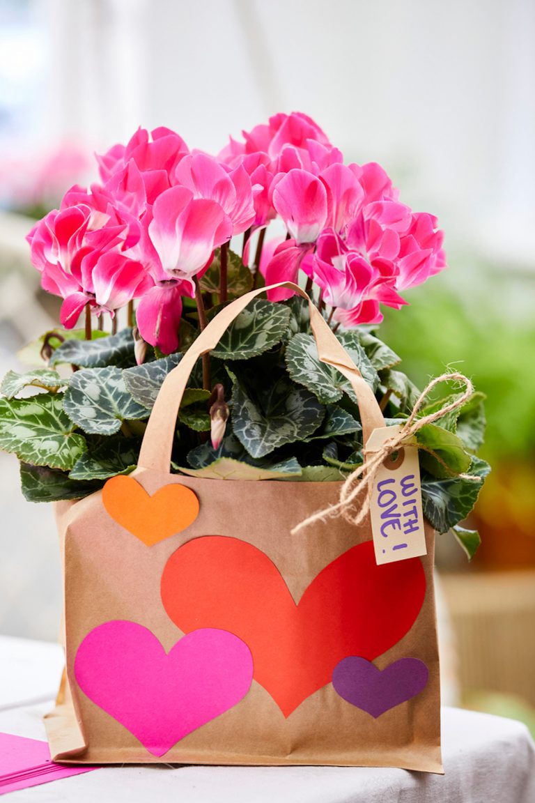 Sac en papier décoré pour plantes à fleurs